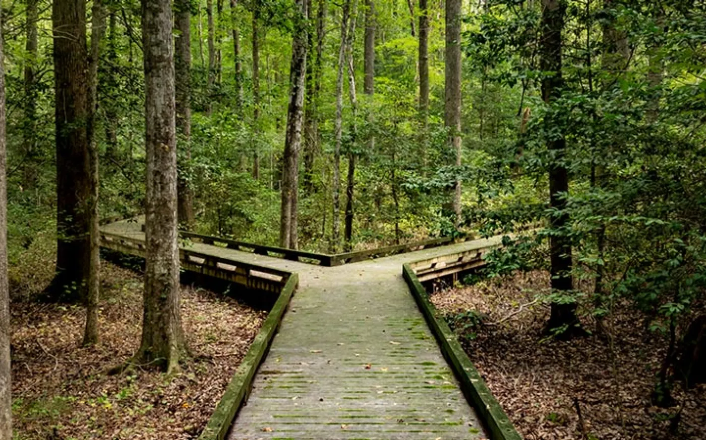 Long-term retirement planning and disciplined investing concept for affluent professionals
