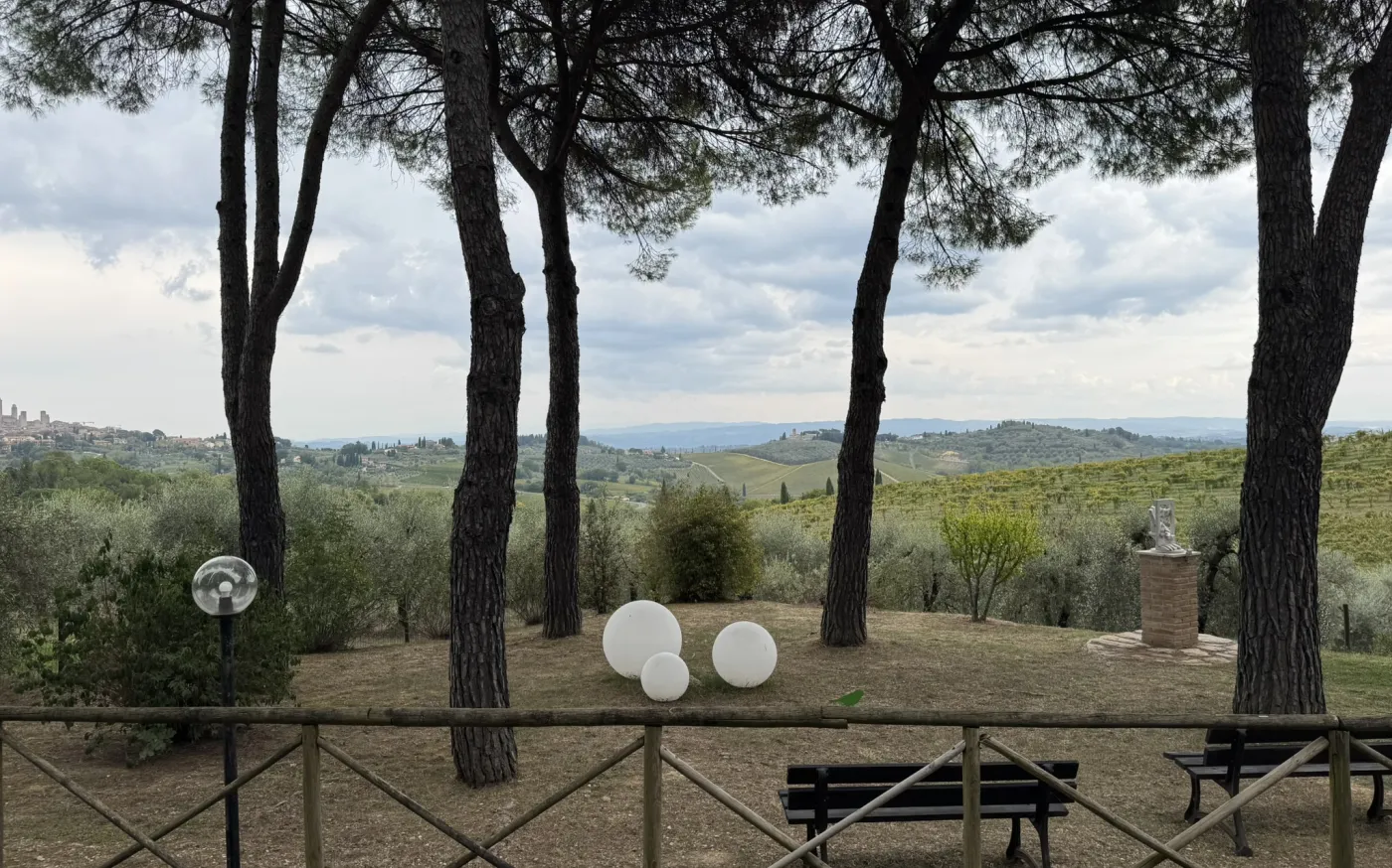 View of rolling hills, vineyards, and olive groves in Tuscany, Italy, framed by tall pine trees during a scenic countryside visit.