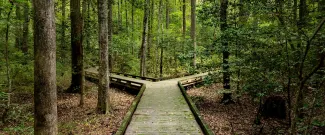 Long-term retirement planning and disciplined investing concept for affluent professionals