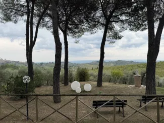 View of rolling hills, vineyards, and olive groves in Tuscany, Italy, framed by tall pine trees during a scenic countryside visit.
