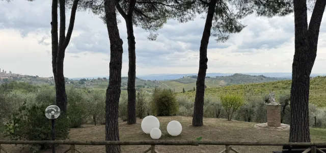 View of rolling hills, vineyards, and olive groves in Tuscany, Italy, framed by tall pine trees during a scenic countryside visit.